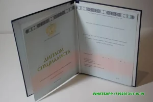 Купить диплом в Вологде НИМБ — Нижегородского Института Менеджмента и Бизнеса